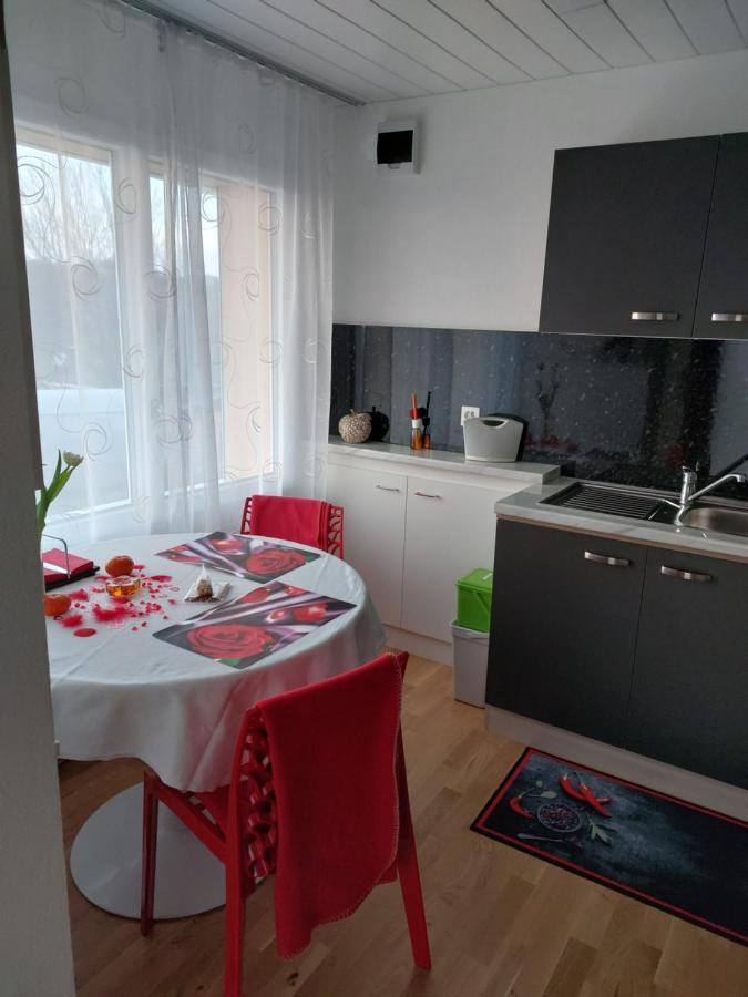 Beau Avec Terrasse Et Vue Exclusivement Pour Non Fumeurs Apartment *