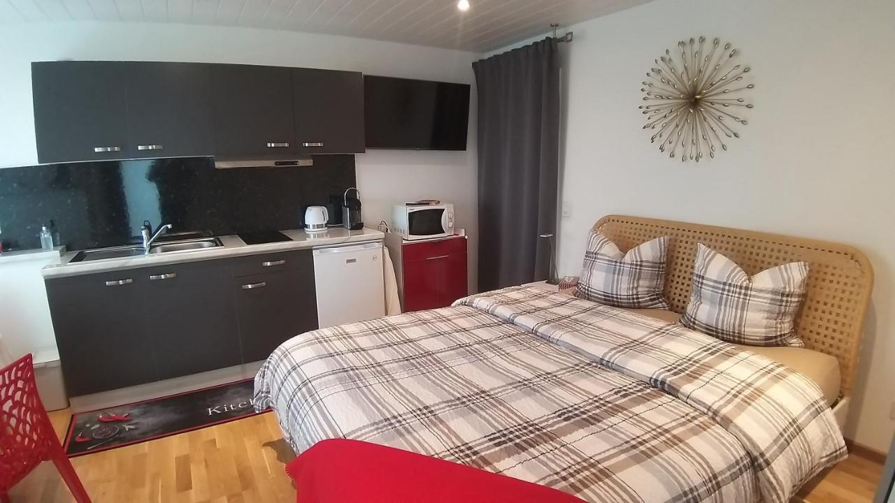 Beau Avec Terrasse Et Vue Exclusivement Pour Non Fumeurs Belmont-sur-Lausanne