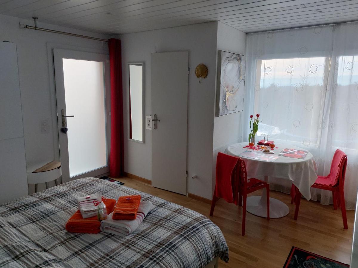 Beau Avec Terrasse Et Vue Exclusivement Pour Non Fumeurs Apartment Belmont-sur-Lausanne