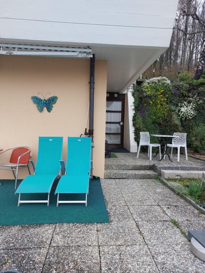 Beau Avec Terrasse Et Vue Exclusivement Pour Non Fumeurs *